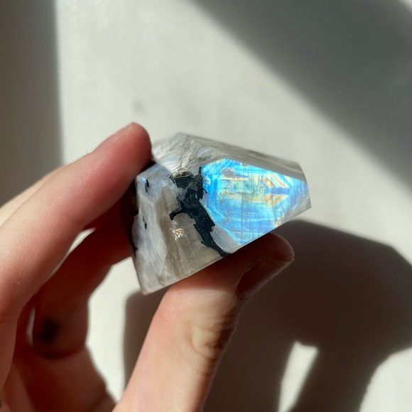 Meet your Posher, Kela - Picture 9 of 9